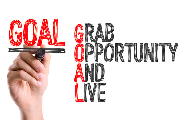 Words on white background - GOAL - Grab, Opportunity, And, Live